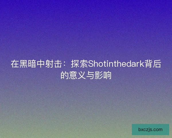 在黑暗中射击：探索Shotinthedark背后的意义与影响