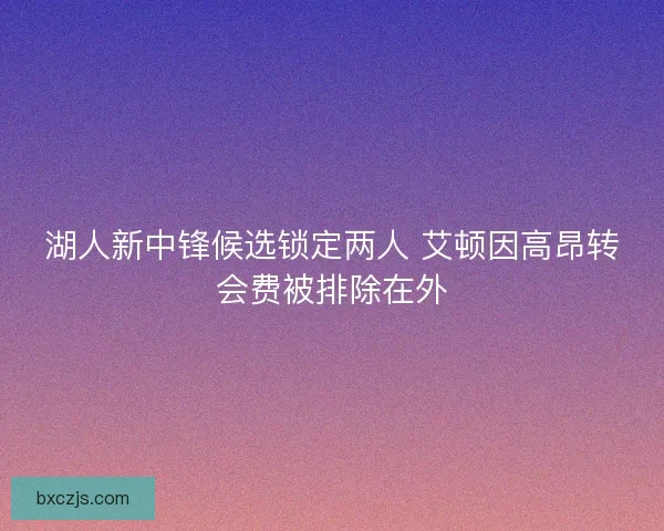 湖人新中锋候选锁定两人 艾顿因高昂转会费被排除在外